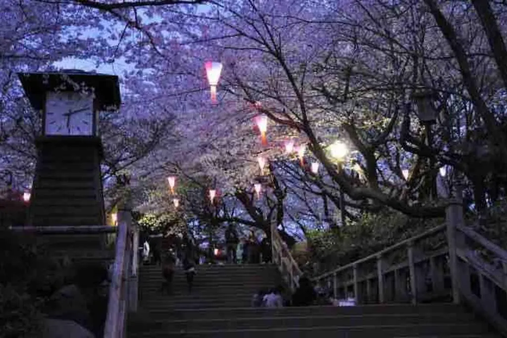 Nishisugamo Full Renovated House Next To A Cherry Blossom Park Tokyo Apartment