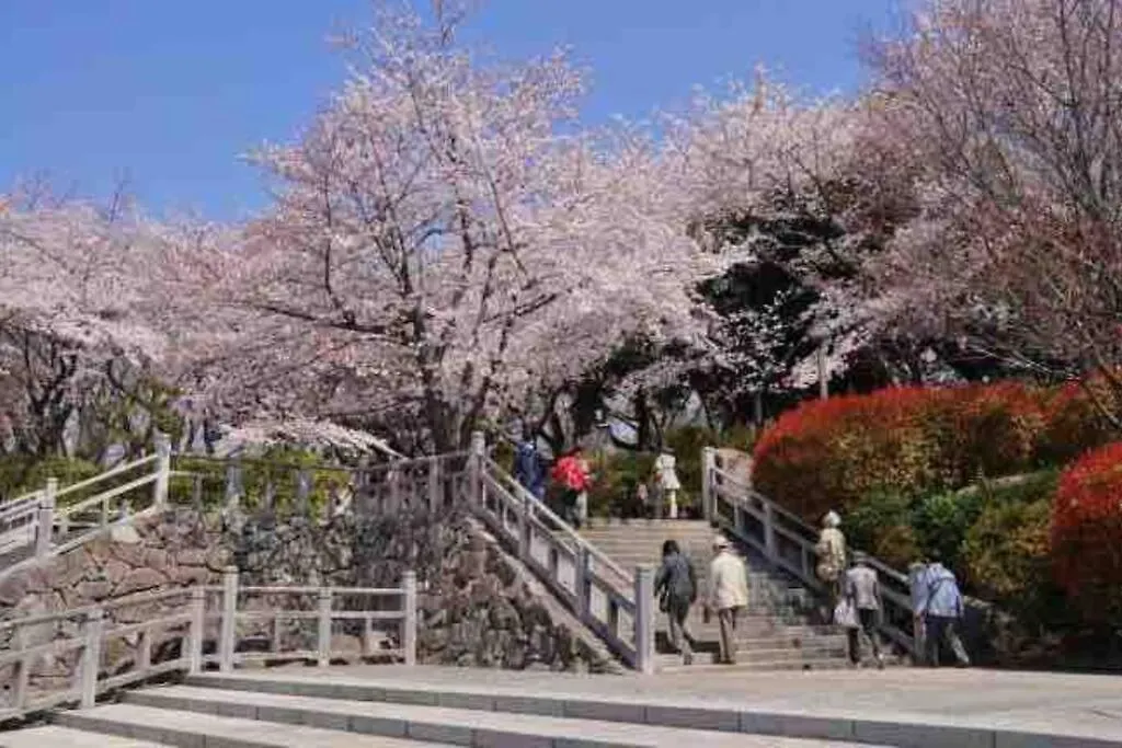 Nishisugamo Full Renovated House Next To A Cherry Blossom Park Tokyo Apartment