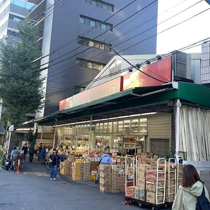 Nishisugamo Full Renovated House Next To A Cherry Blossom Park Tokyo